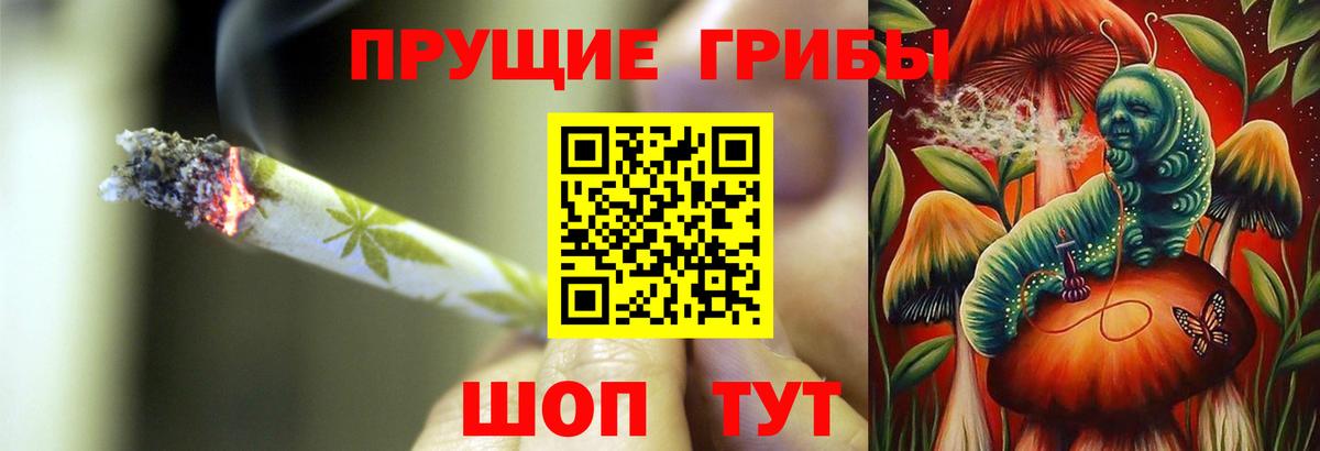 Псилоцибиновые грибы Psilocybine cubensis  что такое наркотик  Вход с VPN  Чита  Галлюциногенные грибы Psilocybine cubensis 